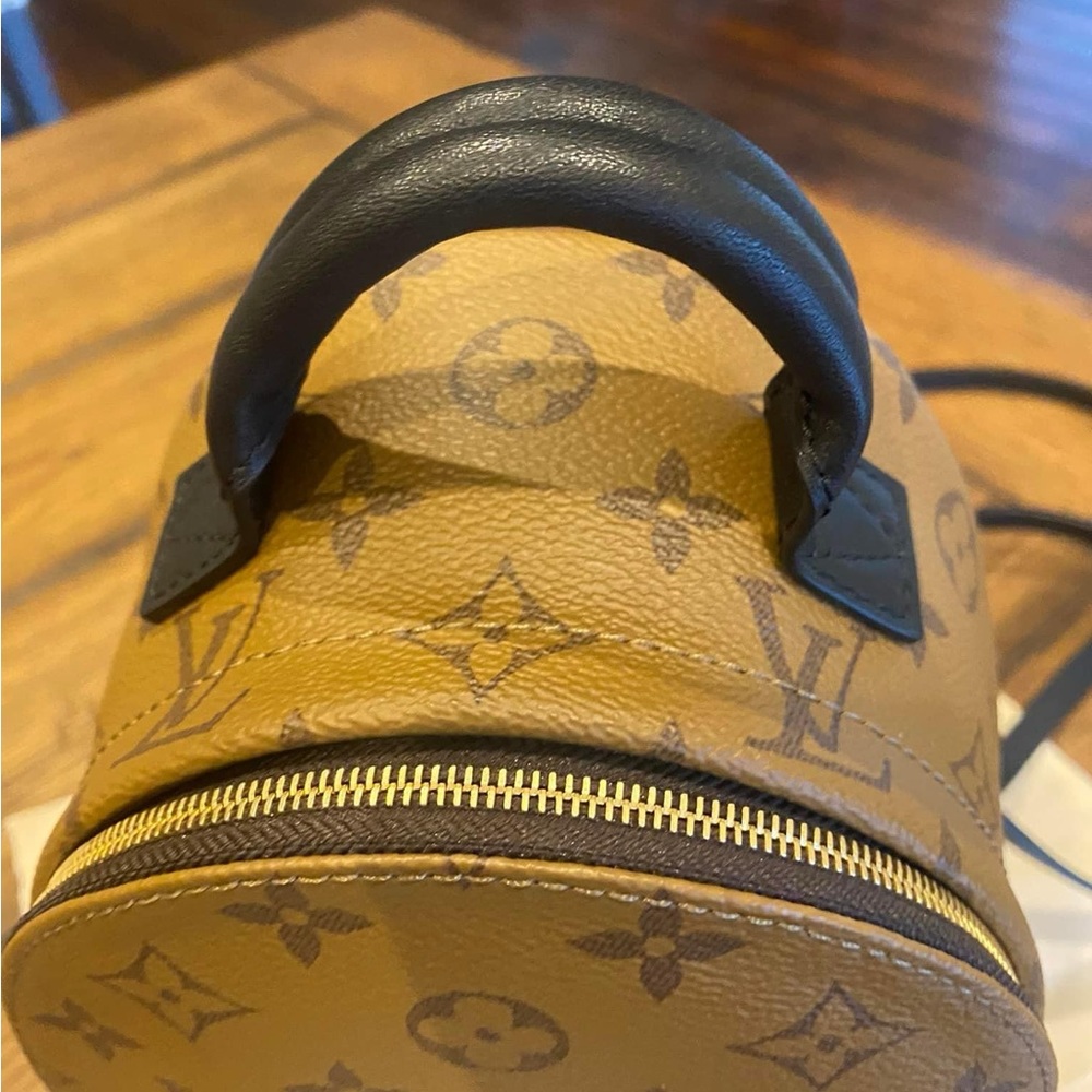 Louis Vuitton Reverse Palm Spring mini - Picture 2 of 6